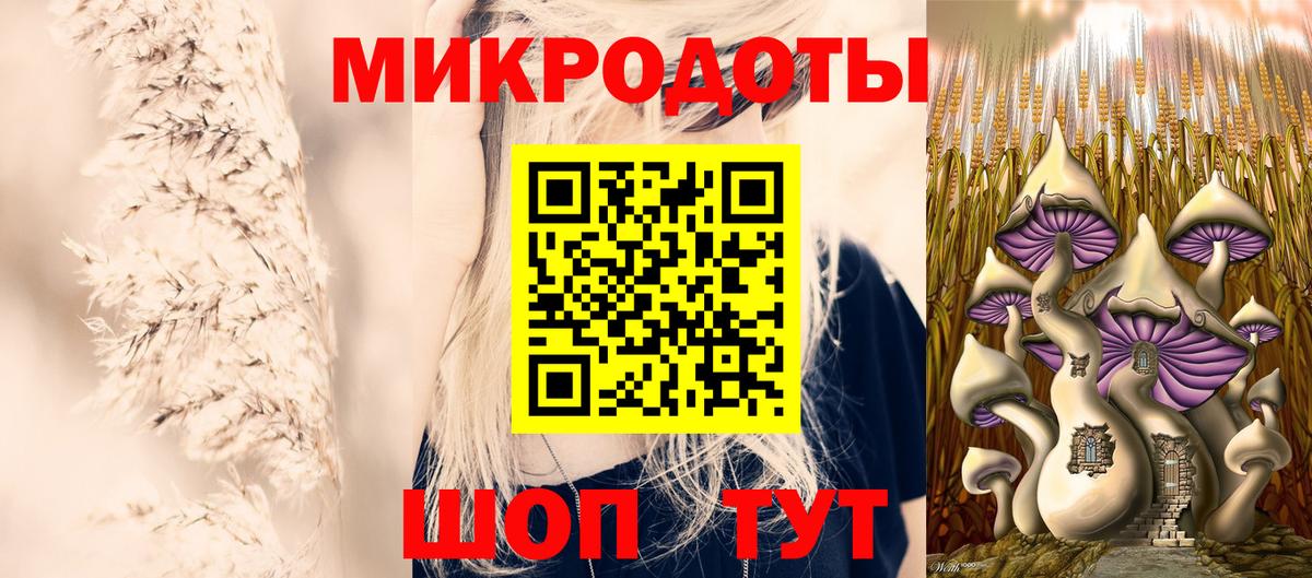 Псилоцибиновые грибы Cubensis Волхов