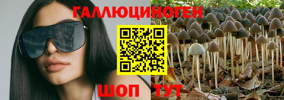 Волхов  Псилоцибиновые грибы мицелий  продажа наркотиков  Вход с VPN 